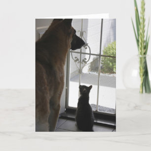 Abby With Zorro At Front Door Blank Greeting Card