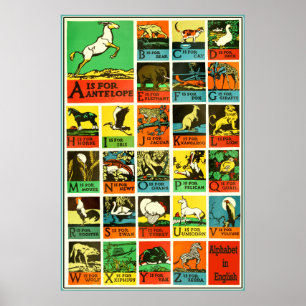 Abc Alphabet animal poster - Teaching Aid Chart