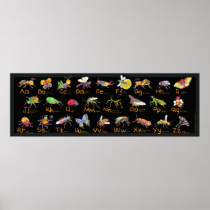 ABC Whimsical Bugs Poster