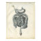 Abdominal Organs Anatomy Print