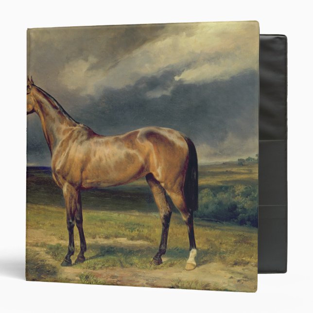 Abdul Medschid' the chestnut arab horse, 1855 Binder (Front/Inside)