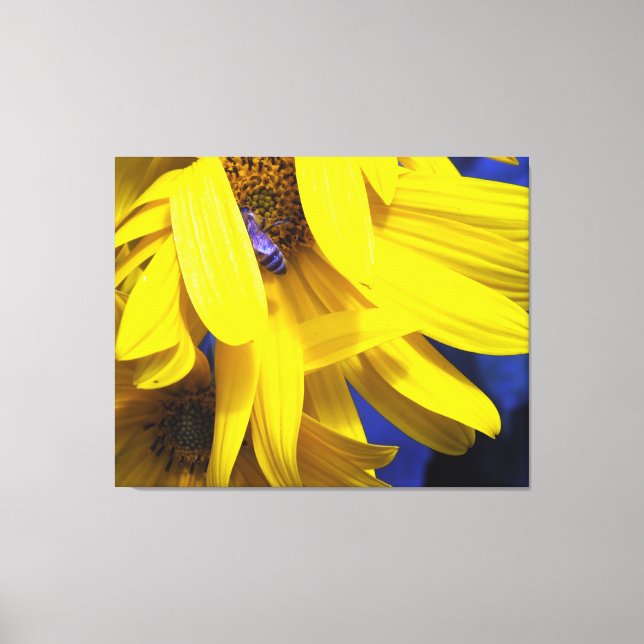 Abeille Bleue Sur Toile Enveloppée De Tournesol Ja (Recto)