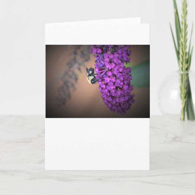 Abeille, carte (Devant)