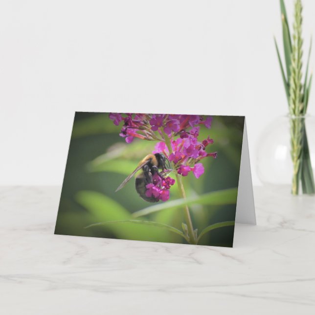 Abeille, carte (Devant)