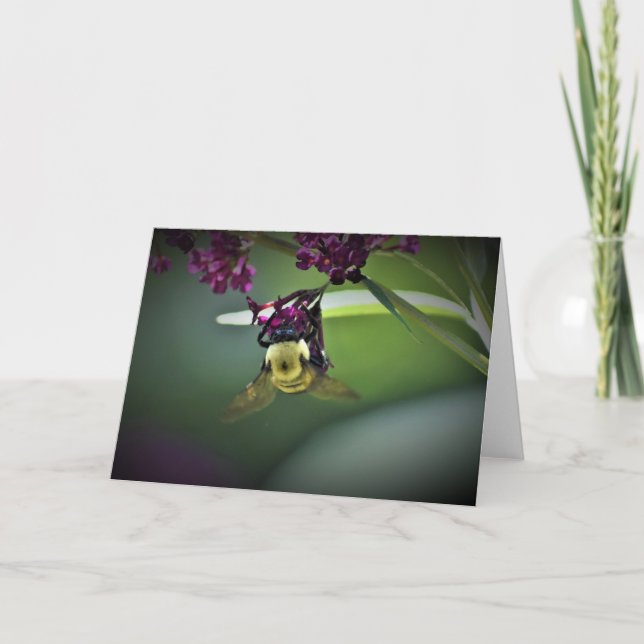 Abeille, carte (Devant)