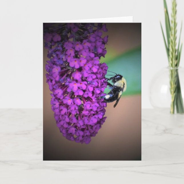 Abeille, carte (Devant)