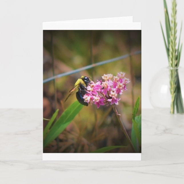 Abeille, carte (Devant)