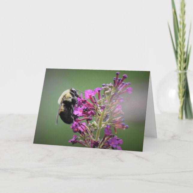 Abeille, carte (Devant)