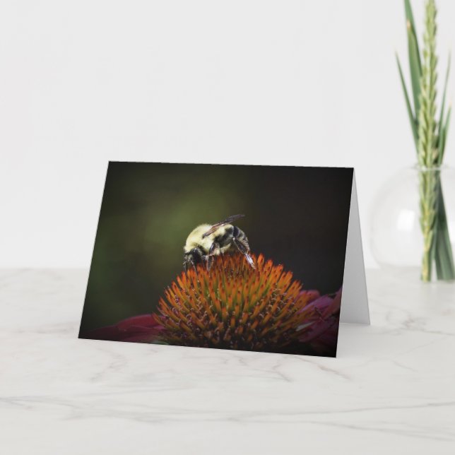 Abeille, carte (Devant)