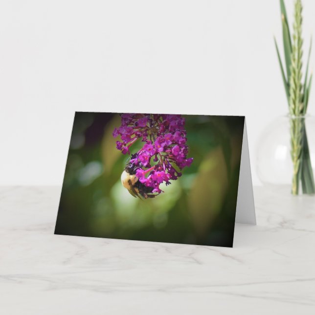 Abeille, carte (Devant)