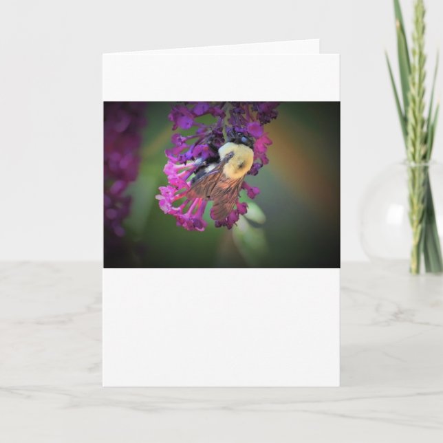 Abeille, carte (Devant)