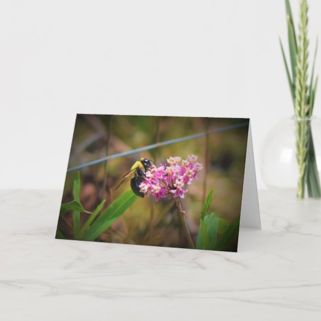 Abeille, carte (Devant)