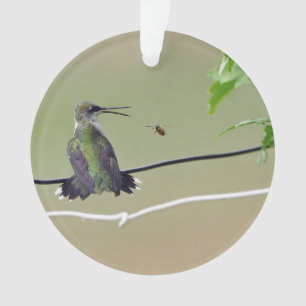 Abeille de colibri et de miel