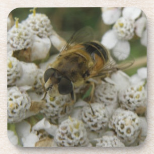 Abeille de miel et fleurs Dessous de verre de lièg
