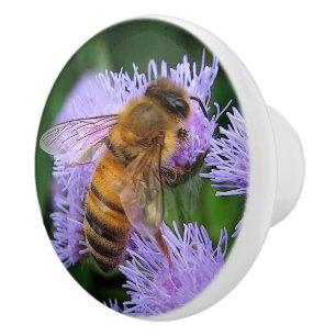 Abeille de miel sur le bouton en céramique