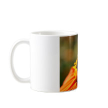 Abeille indigène dans une tasse orange de fleur