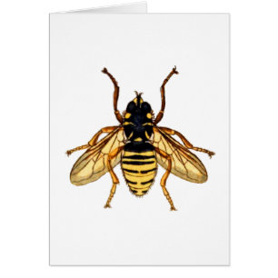 Abeille jaune vintage