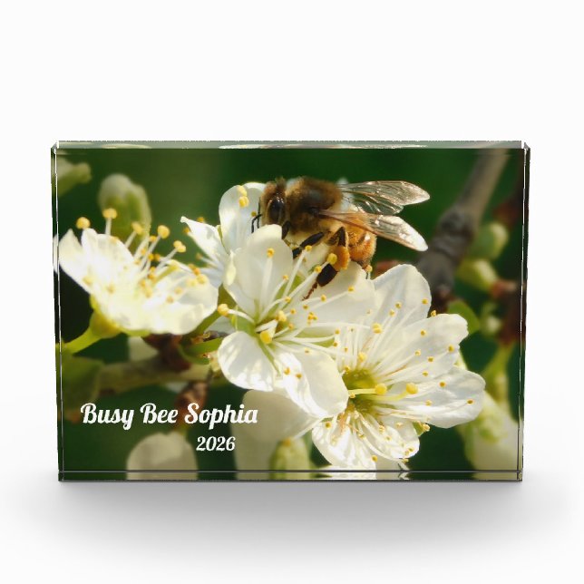 Abeille & Prune Blanche Macro | Bloc Photo Personn (Devant)
