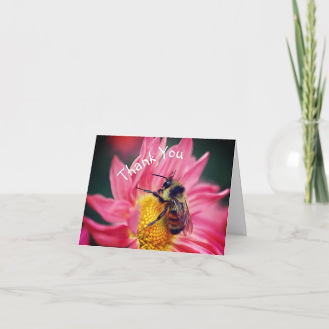 Abeille Sur Carte de remerciements Rose Daisy (Devant)