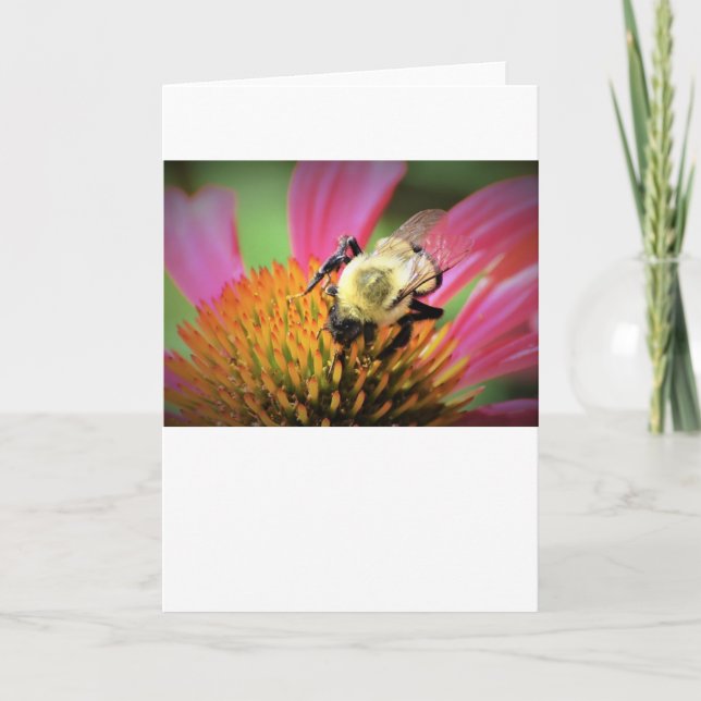 Abeille sur coneflower, carte (Devant)