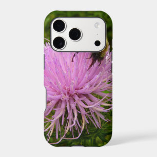 Abeille sur Fleur de Chardon Nature