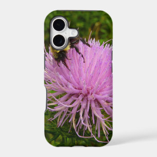 Abeille sur Fleur de Chardon Nature