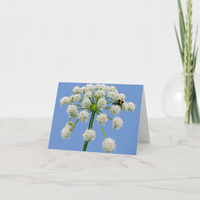 Abeille sur la carte de fleur d'angelica (Devant)