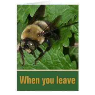 Abeille sur le baume de citron