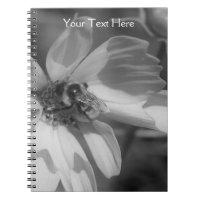 Abeille Sur Le Carnet Fleur Cosmos