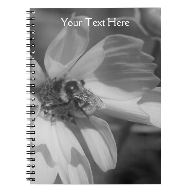 Abeille Sur Le Carnet Fleur Cosmos (Devant)