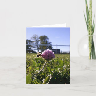 Abeille sur le carte pour notes de trèfle