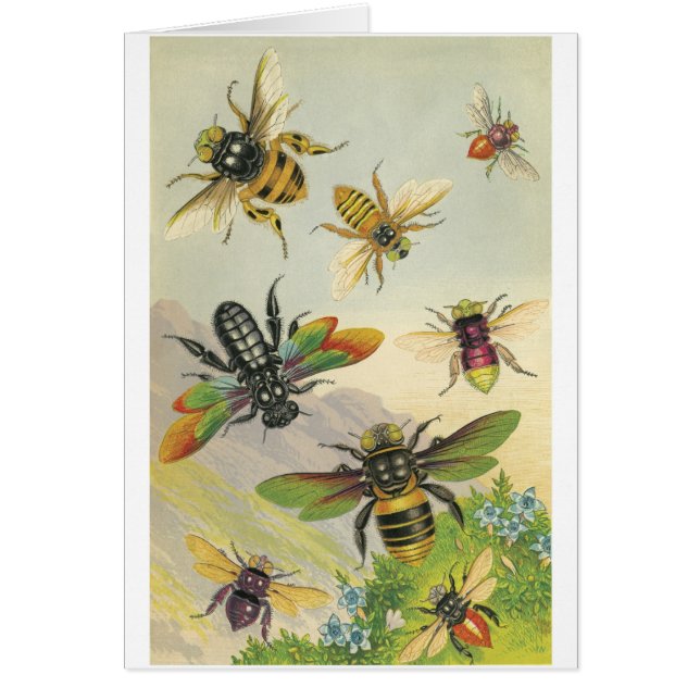 Abeilles (Devant)