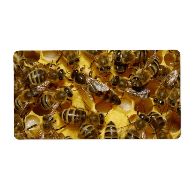 Abeilles de miel en ruche avec reine en milieu (Devant)