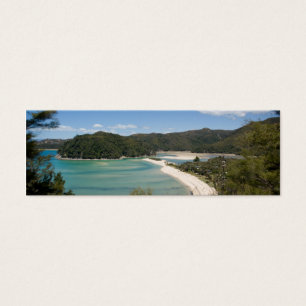 Abel Tasman N.P. Shore DSC8721