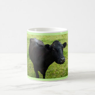 Aberdeen Angus cow mug