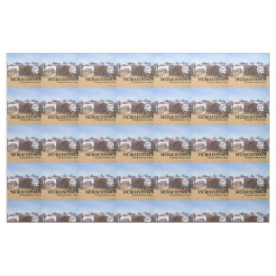 ABH Morristown Fabric