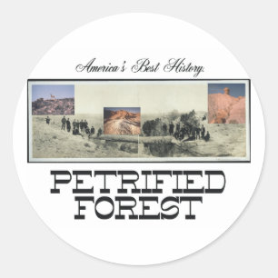 ABH Petrified Forest Classic Round Sticker