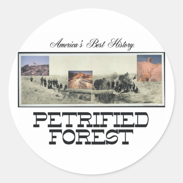 ABH Petrified Forest Classic Round Sticker (Front)