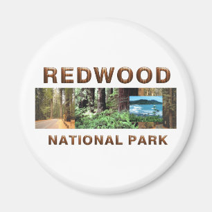 ABH Redwood Magnet