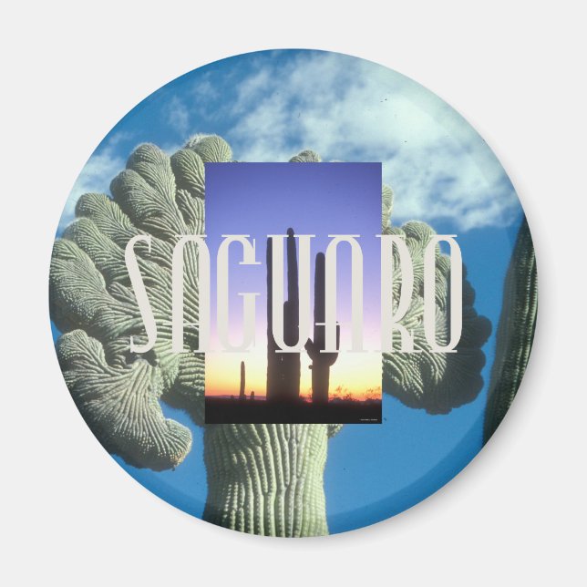 ABH Saguaro Magnet (Front)