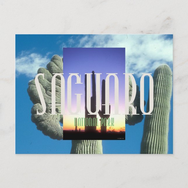 ABH Saguaro Postcard (Front)