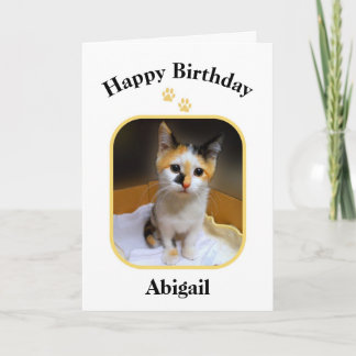 Abigail Calico Kitten Happy Birthday Card