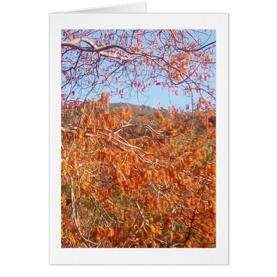 Ablaze With Fiery Colour Card