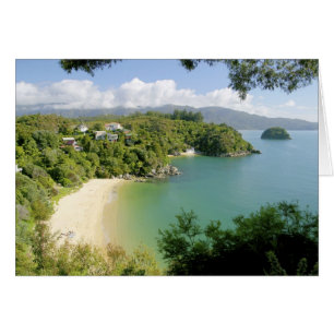 Able Tasman NP, Nelson, New Zealand. The many