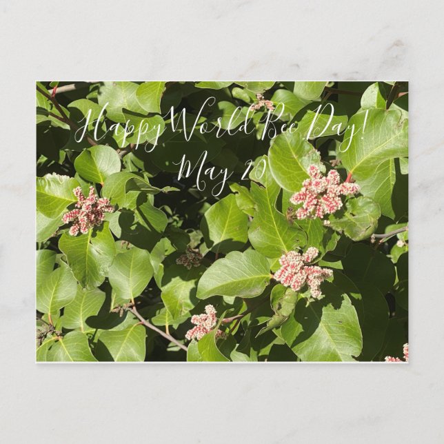 aBloomingCalifornia: Bee Engaged! Postcard (Front)