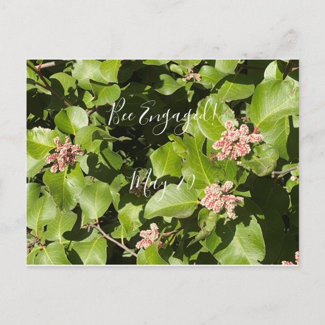 aBloomingCalifornia: Bee Engaged! Postcard (Front)