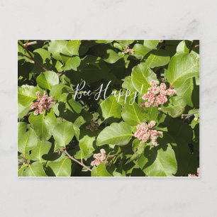 aBloomingCalifornia: Bee Happy! Postcard