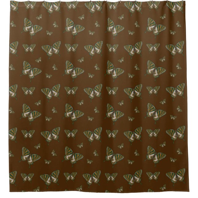 Aboriginal Swallowtail Shower Curtain (Front)