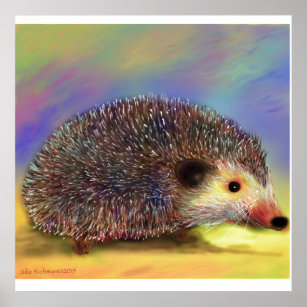 About a Hedgehog Poster