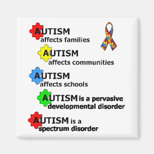 ABOUT AUTISM MAGNET